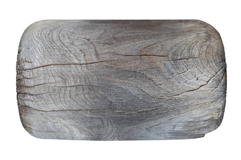 无人,横图,室内,特写,白天,白色背景,正面,石头,静物,一块,阴影,遗迹,反射,纹路,化石,石子,纹理,影子,摄影,影棚,肌理,遗体,古生物,石块,岩石,彩图,影棚拍摄,拍摄,木化石,石化木