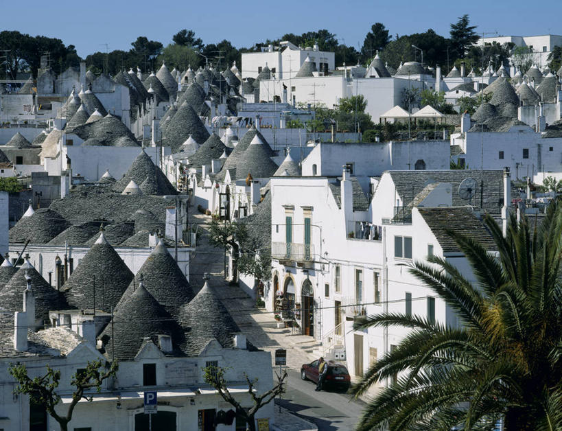 无人,家,横图,室内,白天,正面,旅游,度假,名胜古迹,植物,标志建筑,地标,建筑,棕榈树,叶子,意大利,欧洲,阴影,遗迹,光线,影子,房屋,屋子,公寓,绿叶,古迹,文物,娱乐,建设,古建筑,洋房,楼房,住宅,树,树木,蓝色,绿色,蓝天,天空,阳光,自然,天,享受,休闲,嫩叶,旅游胜地,放松,生长,晴朗,成长,南欧,古文明,棕榈叶,万里无云,意大利共和国,阿尔贝罗贝洛,普里亚大区,普利亚,叶,叶片,晴空,晴空万里,棕树,棕榈,彩图,房子,巴里省