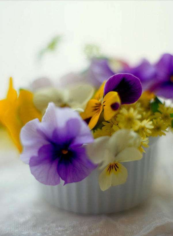 无人,竖图,室内,特写,白天,正面,幸福,智慧,桌面,桌子,紫罗兰,许多,阴影,朦胧,模糊,艺术,装饰,盛开,反射,影子,很多,清凉,花蕾,文化,花,花瓣,花朵,鲜花,黄色,紫色,插花,夏天,花苞,花蕊,华丽,修饰,插花艺术,点缀,创造,创作,想象,三色紫罗兰,永恒,衬托,美观,雅致,雅观,质朴,美德,纯爱,草紫罗兰,草桂花,彩图