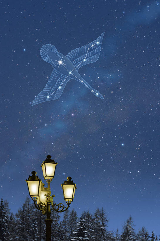 无人,竖图,插画,室内,夜晚,正面,旅游,度假,探险,神秘,数码,宇宙,科技,美景,星空,植物,路灯,夜景,照明,法国,欧洲,阴影,科学,太空,网络,星球,景观,星云,灯光,高光,几何,计算机图形,合成,图画,娱乐,灯,画,树,树木,蓝色,绿色,蓝天,天空,自然,天,享受,休闲,景色,放松,探索,星系,生长,成长,发现,照亮,电脑合成图,数码合成图,天体,合成图,照明设备,西欧,法兰西,自然风光,漫画,星体,天文学,外太空,法兰西共和国,写实,具体,具象,法兰西第五共和国,星夜,夜空,彩图,天鹅座纤维星云