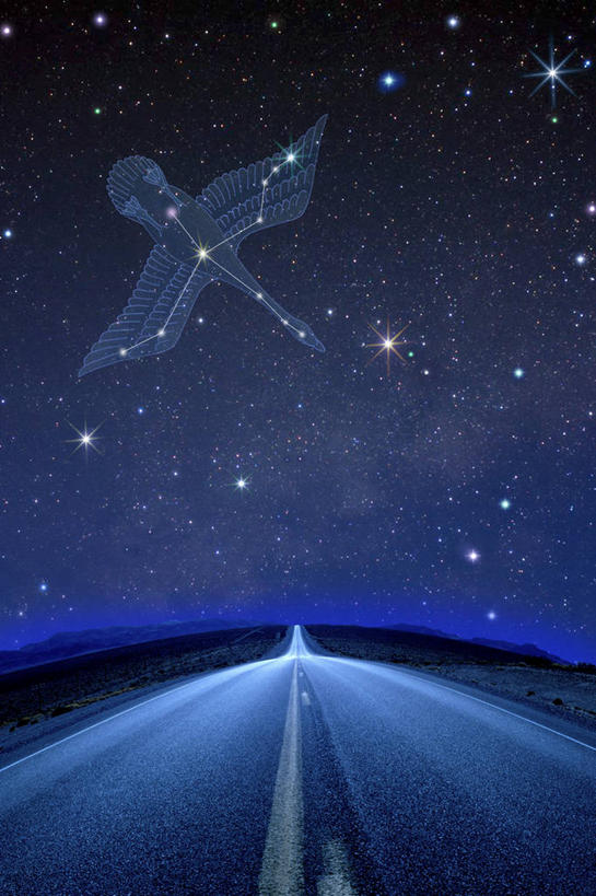 无人,竖图,插画,室内,夜晚,正面,旅游,度假,探险,神秘,数码,宇宙,科技,美景,星空,道路,路,夜景,公路,阴影,科学,太空,网络,星球,景观,星云,分界线,停车线,交通,高光,几何,计算机图形,合成,图画,娱乐,画,自然,享受,休闲,景色,放松,探索,星系,车行道,车行道分界线,发现,电脑合成图,数码合成图,天体,合成图,自然风光,标线,漫画,星体,天文学,车行线,外太空,写实,具体,具象,星夜,夜空,马路,彩图,天鹅座纤维星云