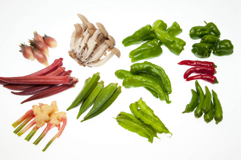 无人,横图,俯视,室内,特写,白天,白色背景,餐桌,桌子,辣椒,蔬菜,一堆,许多,阴影,堆叠,堆积,新鲜,反射,影子,菌菇,青椒,秋葵,食品,很多,菌类,食物,白色,食用菌,摄影,有机食品,绿色食品,影棚,餐台,堆,真菌,毛茄,羊角豆,辣角,红海椒,大椒,辣虎,广椒,菜椒,黄秋葵,咖啡黄葵,甜椒,柿子椒,辣子,红辣椒,海椒,番椒,灯笼椒,彩图,高角度拍摄,影棚拍摄,拍摄,羊角菜