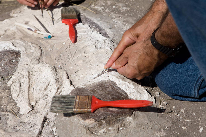 西方人,一个人,蹲,横图,俯视,室外,白天,石头,装修,欧洲,欧洲人,仅一个男性,仅一个人,仅一个中年男性,握,裤子,石子,拿,拿着,牛仔裤,装潢,粉刷,刷子,握着,油漆,涂料,男人,男性,中年男性,白种人,石块,岩石,蹲着,半身,彩图,高角度拍摄