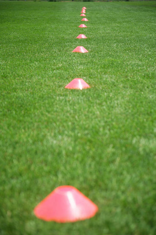 无人,足球场,竖图,俯视,室外,白天,草地,草坪,植物,一排,许多,整齐,分离,标志,很多,草,排列,红色,绿色,隔离,队列,绿茵场,彩图,高角度拍摄,足球比赛场地