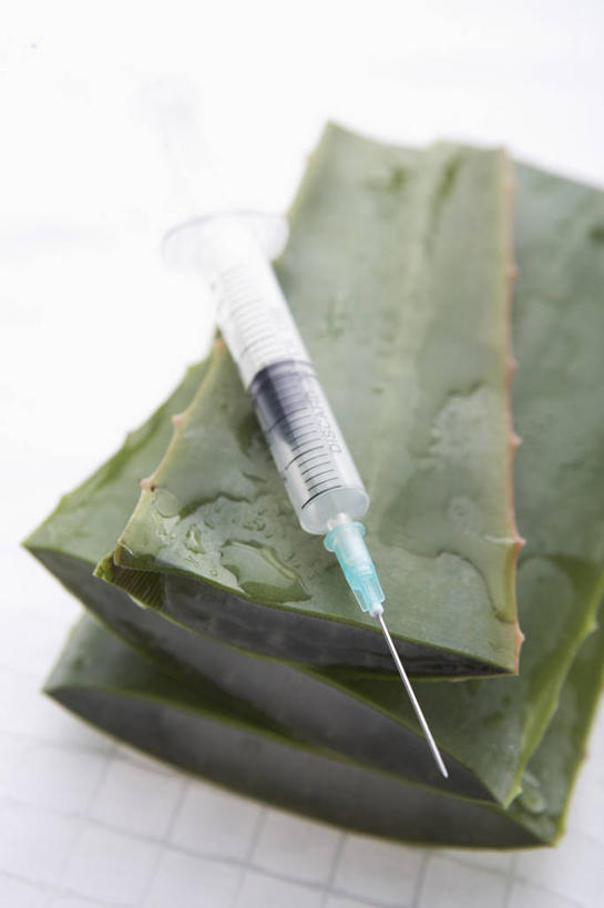 无人,竖图,俯视,室内,特写,白天,白色背景,芦荟,一排,整齐,饮品,三片,饮料,排列,针管,针筒,注射,摄影,影棚,堆,医疗,医疗设备,注射器,队列,可口,罗帷草,讷会,奴会,象鼻莲,象胆,适口,芦荟汁,彩图,高角度拍摄,影棚拍摄,拍摄,油葱