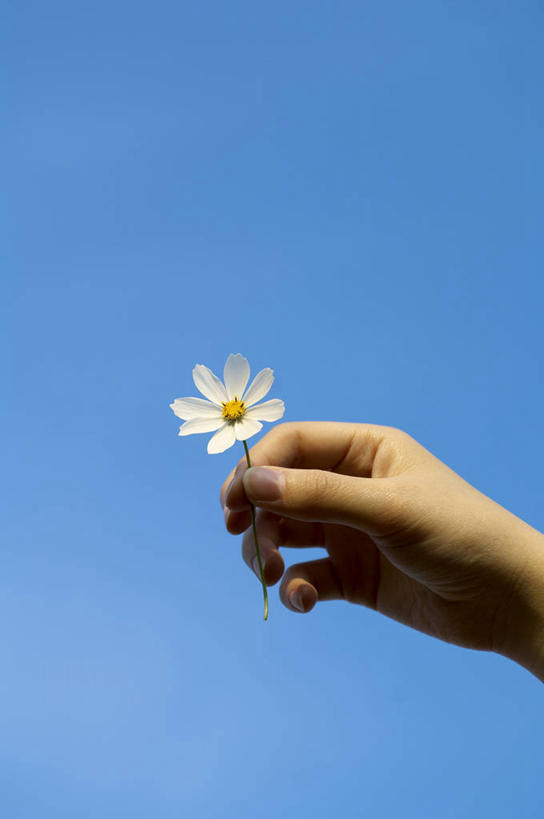 东方人,手,一个人,举,竖图,室外,特写,白天,仰视,爱情,亚洲,仅一个年轻女性,仅一个女性,仅一个人,握,阴影,盛开,光线,影子,拿,花蕾,拿着,黄种人,花,花瓣,花朵,鲜花,一朵,蓝色,白色,蓝天,天空,阳光,天,花苞,花蕊,托,手部,菊花,握着,晴朗,单手,吉祥,翠菊,万里无云,高洁,长寿,怀恋,清净,真情,寿客,秋菊,江西腊,蓝菊,年轻女性,女人,女性,亚洲人,晴空,晴空万里,举起,举手,举着,向上举,向上伸,向上托,半身,彩图,低角度拍摄