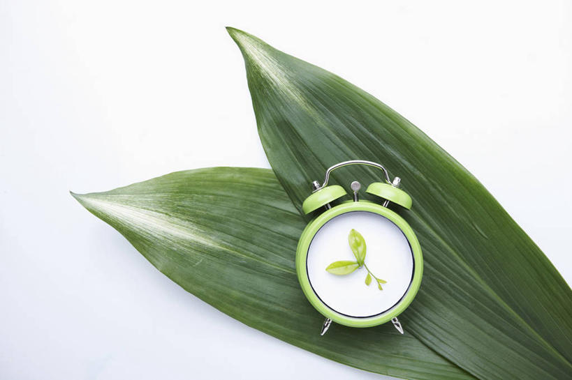 无人,横图,俯视,室内,特写,白天,白色背景,叶子,闹钟,时间,时钟,绿叶,计时,一个,钟表,嫩叶,表,摄影,影棚,单个,叶,叶片,钟,彩图,高角度拍摄,影棚拍摄,拍摄