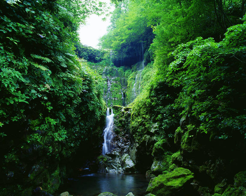 无人,横图,室外,白天,正面,旅游,度假,河流,石头,美景,瀑布,森林,山,山脉,树林,水,植物,济州岛,韩国,亚洲,阴影,飞溅,溅,光线,石子,液体,影子,河水,景观,山顶,山峰,水滴,水流,青苔,苔藓,山峦,娱乐,水珠,树,树木,绿色,小溪,阳光,自然,群山,溪水,享受,休闲,景色,放松,生长,成长,喷洒,自然风光,东亚,沉积岩,大韩民国,济州,济州道,济州特别自治道,特别自治道,颠峰,极峰,水成岩,跌水,石块,岩石,彩图