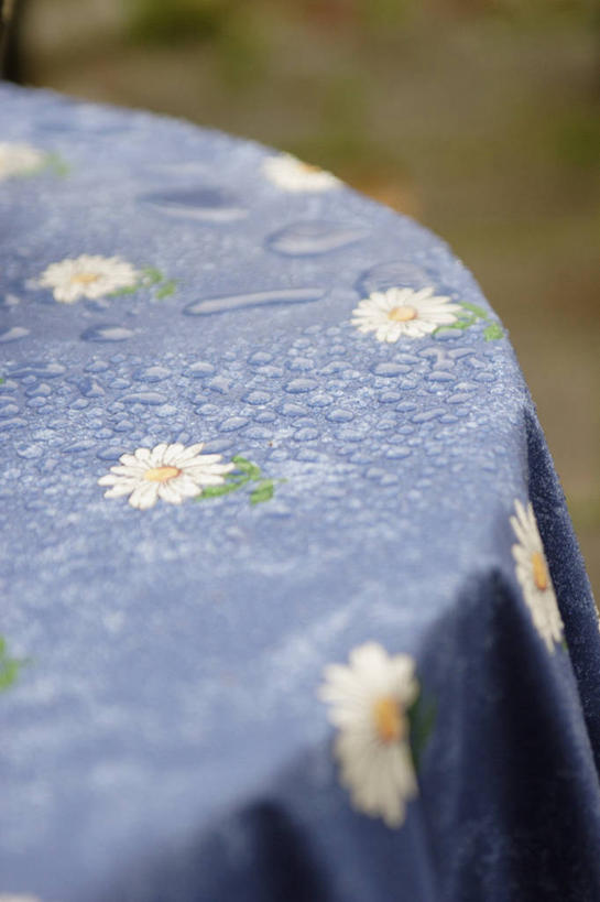 无人,竖图,俯视,室内,特写,白天,水,露水,餐桌,桌子,朦胧,模糊,装饰,盛开,透明,布料,液体,水滴,花蕾,布纹,水珠,桌布,花,花瓣,花朵,鲜花,餐巾,台布,露珠,花苞,花蕊,餐台,生机,华丽,修饰,点缀,剔透,衬托,美观,雅致,雅观,灵动,通明,餐桌布,彩图,高角度拍摄,晶莹