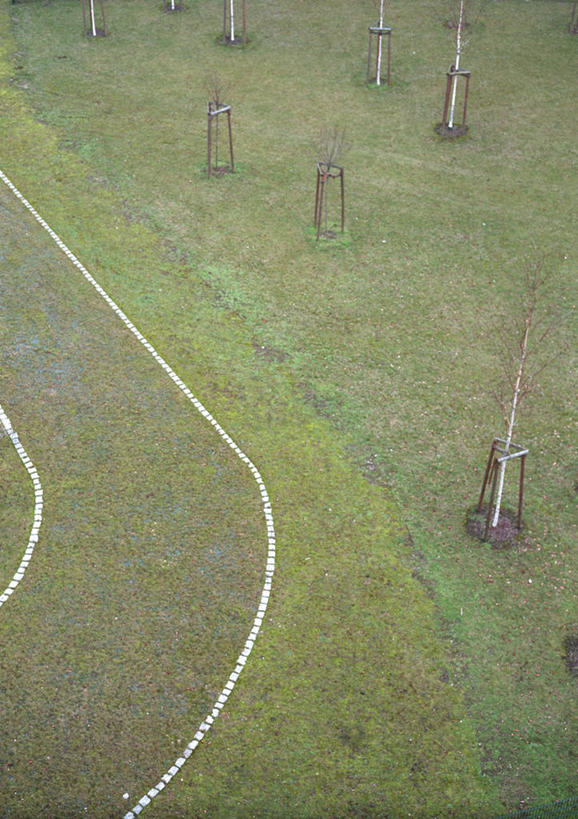 无人,竖图,俯视,室外,白天,草地,草坪,美景,植物,道路,路,公路,阴影,曲折,弯曲,光线,影子,景观,交通,草,树,树木,绿色,阳光,自然,景色,蜿蜒,生长,成长,自然风光,马路,彩图,高角度拍摄