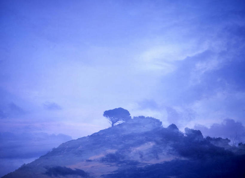 无人,横图,室外,白天,正面,旅游,度假,美景,山,山脉,植物,西班牙,欧洲,阴影,光线,影子,景观,山顶,山峰,云,云朵,山峦,云彩,娱乐,树,树木,蓝色,绿色,白云,蓝天,天空,阳光,自然,群山,天,享受,休闲,景色,放松,生长,晴朗,成长,南欧,自然风光,马略卡岛,西班牙王国,颠峰,极峰,巴利阿里群岛,马略卡,巴利阿里,晴空,彩图,马洛卡岛