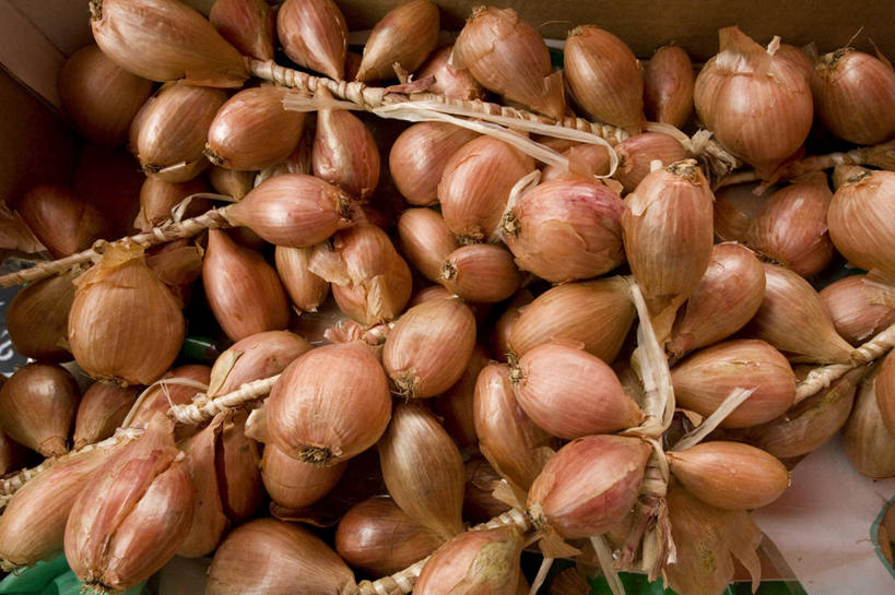 无人,横图,俯视,室内,特写,白天,蔬菜,洋葱,一堆,许多,阴影,堆叠,堆积,新鲜,反射,影子,食品,很多,食物,有机食品,绿色食品,堆,玉葱,荷兰葱,圆葱,洋葱头,球葱,葱头,彩图,高角度拍摄