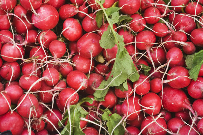 无人,横图,俯视,室内,特写,白天,萝卜,蔬菜,一堆,许多,阴影,堆叠,堆积,新鲜,反射,影子,食品,很多,食物,红色,有机食品,绿色食品,水萝卜,堆,彩图,高角度拍摄