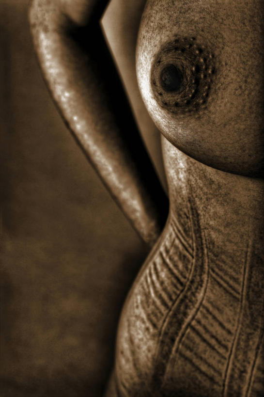 西方人,胸,乳房,乳头,一个人,站,竖图,室内,特写,白天,正面,民族服装,欧洲,欧洲人,仅一个年轻女性,仅一个女性,仅一个人,阴影,反射,影子,裸露,站着,摄影,影棚,褐色背景,裸,苗条,修长,年轻女性,女人,女性,白种人,胸部,站立,半身,彩图,影棚拍摄,传统服装,民俗服,拍摄