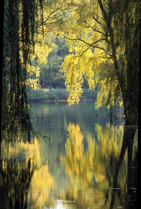 无人,竖图,室外,白天,正面,旅游,度假,河流,美景,秋季,树林,水,植物,德国,欧洲,阴影,光线,影子,河水,景观,水流,娱乐,树,树木,绿色,倒影,阳光,自然,享受,休闲,景色,放松,生长,成长,倒映,西欧,自然风光,德意志联邦共和国,海德堡,巴登.符腾堡,巴登.符腾堡州,巴符州,反照,秋,秋天,彩图,卡尔斯鲁厄行政区