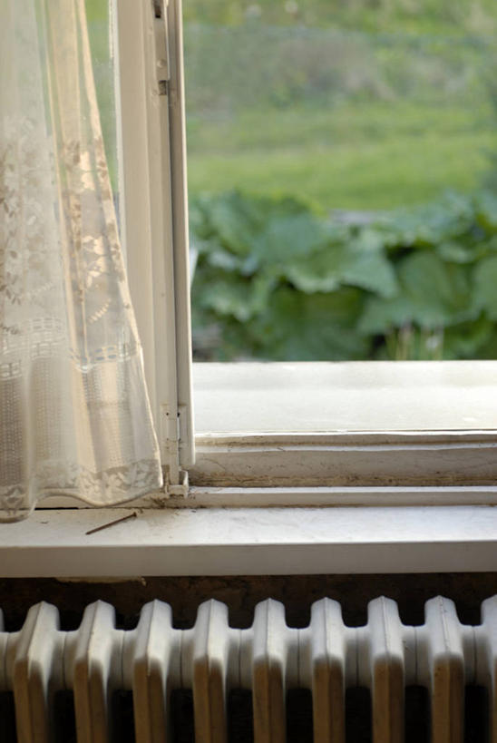 无人,农田,竖图,俯视,室内,特写,白天,庄稼,农作物,草地,草坪,植物,窗户,窗帘,阴影,朦胧,模糊,装饰,反射,电器,影子,取暖器,玻璃窗,草,树,树木,绿色,自然,帘子,温暖,遮阳,生长,成长,保暖,华丽,修饰,点缀,家电,家用电器,御寒,衬托,美观,雅致,雅观,彩图,高角度拍摄,耕地,庄稼田