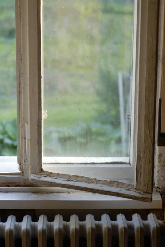 无人,农田,竖图,俯视,室内,特写,白天,庄稼,农作物,草地,草坪,植物,窗户,阴影,朦胧,模糊,反射,电器,影子,取暖器,玻璃窗,草,树,树木,绿色,自然,温暖,生长,成长,保暖,家电,家用电器,御寒,彩图,高角度拍摄,耕地,庄稼田