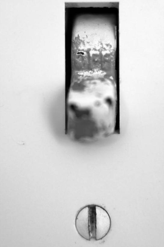 无人,竖图,黑白,室内,特写,白天,白色背景,正面,静物,照明,阴影,反射,壁灯,影子,灯光,灯,灯具,摄影,影棚,照亮,照明设备,影棚拍摄,拍摄