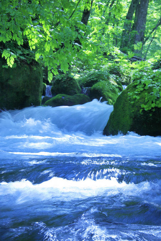 无人,竖图,室外,白天,正面,旅游,度假,河流,石头,美景,森林,树林,水,植物,日本,亚洲,阴影,光线,石子,影子,河水,景观,水流,娱乐,树,树木,绿色,小溪,阳光,自然,溪水,享受,休闲,景色,放松,生长,成长,自然风光,东亚,本州,本州岛,日本国,青森,青森县,东北地方,奥入濑溪谷,十和田市,十和田,石块,岩石,彩图
