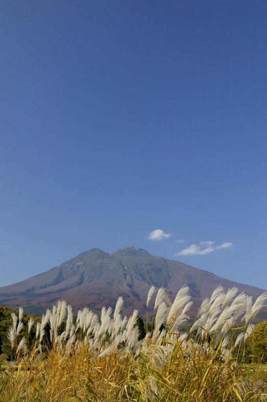 无人,竖图,室外,白天,正面,旅游,度假,美景,芦苇,日本,亚洲,阴影,光线,影子,景观,云,云朵,云彩,娱乐,蓝色,白云,蓝天,天空,阳光,自然,天,享受,休闲,景色,放松,晴朗,自然风光,东亚,本州,本州岛,日本国,青森,青森县,东北地方,弘前,弘前市,芦芛,芦,芦花,苇,晴空,彩图,岩木山