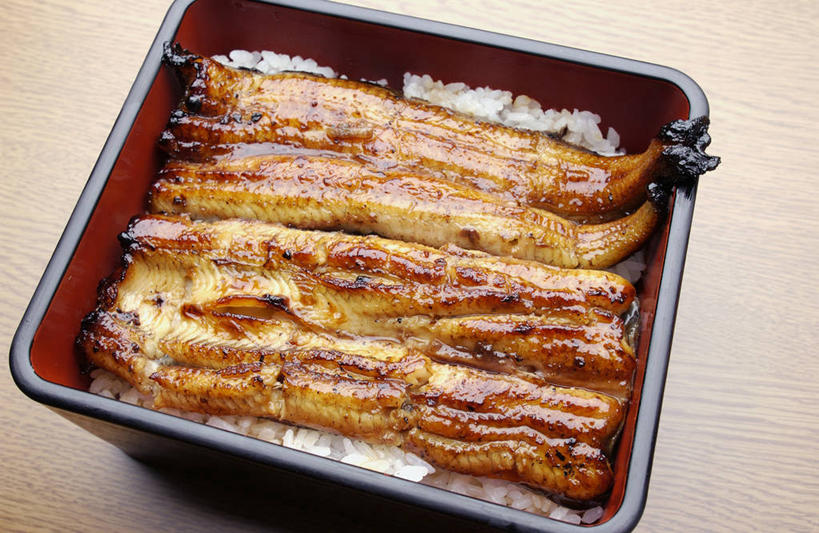 米饭,鳗鱼,无人,横图,俯视,室内,特写,白天,烹饪,餐桌,桌子,鳗鲡,阴影,反射,影子,肉,鱼肉,日本料理,料理,食品,食盒,饭,菜肴,美食,肉类,盒子,食物,容器,日式料理,日式,鳗鱼饭,佳肴,餐台,储藏,五谷,储存,肉食,河鳗,白鳗,青鳝,风馒,白鳝,彩图,高角度拍摄,贮存