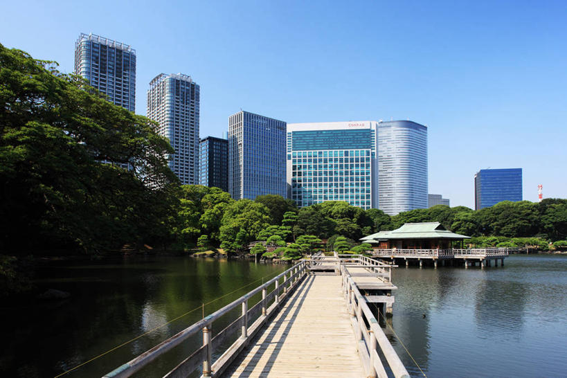 无人,高楼大厦,栏杆,横图,室外,白天,正面,度假,美景,树林,植物,城市风光,标志建筑,城市,大厦,地标,建筑,摩天大楼,东京,日本,亚洲,阴影,波纹,光线,木板,影子,池塘,景观,水池,围栏,桥,木桥,涟漪,中央区,娱乐,建设,护栏,栈桥,树,树木,蓝色,绿色,倒影,蓝天,水纹,天空,阳光,自然,波浪,天,享受,休闲,景色,放松,生长,晴朗,成长,人行桥,木板桥,倒映,东亚,本州,万里无云,关东地方,本州岛,日本国,东京都,水晕,反照,滨离宫庭园,晴空,晴空万里,彩图,大楼,高层建筑,高楼,摩天楼,浜离宫,滨离宫恩赐庭园