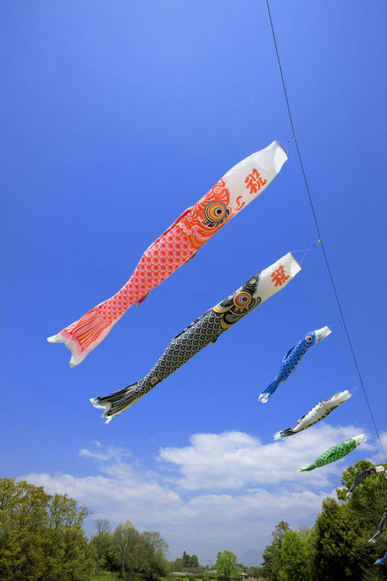 无人,竖图,室外,白天,仰视,旅游,度假,美景,树林,植物,旗帜,日本,亚洲,许多,阴影,节日,庆祝,飘扬,光线,鲤鱼旗,影子,景观,云,云朵,很多,云彩,文化,娱乐,旗子,树,树木,蓝色,绿色,白云,蓝天,天空,阳光,自然,天,祈福,庆典,享受,休闲,景色,放松,生长,晴朗,成长,纪念,飘逸,祈求,自然风光,飞扬,东亚,本州,关东地方,本州岛,日本国,群马,群马县,旌旗,旗号,鲤鱼节,男孩节,日本男孩节,子供之日,鲤帜,晴空,彩图,低角度拍摄