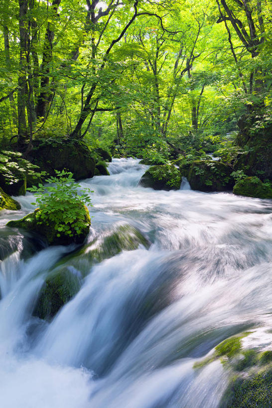 无人,竖图,室外,白天,正面,旅游,度假,河流,石头,美景,森林,树林,水,植物,日本,亚洲,阴影,朦胧,模糊,光线,石子,影子,河水,景观,水流,娱乐,树,树木,绿色,小溪,阳光,自然,溪水,享受,休闲,景色,放松,生长,成长,自然风光,东亚,本州,本州岛,日本国,青森,青森县,东北地方,奥入濑溪谷,十和田市,十和田,石块,岩石,彩图