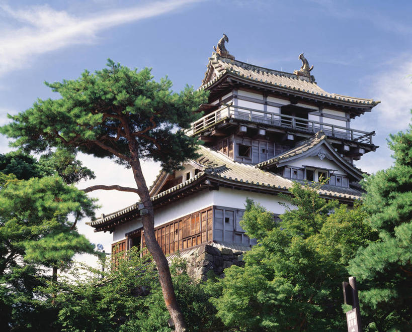 无人,横图,室外,白天,仰视,旅游,度假,名胜古迹,植物,标志建筑,地标,建筑,日本,亚洲,阴影,遗迹,光线,影子,堡垒,城堡,云,云朵,云彩,古迹,文物,娱乐,建设,古建筑,树,树木,蓝色,绿色,白云,蓝天,天空,阳光,自然,天,享受,休闲,旅游胜地,放松,生长,晴朗,成长,要塞,古文明,东亚,本州,本州岛,日本国,中部地方,福井,福井县,设防,晴空,彩图,低角度拍摄,坂井市,丸冈城