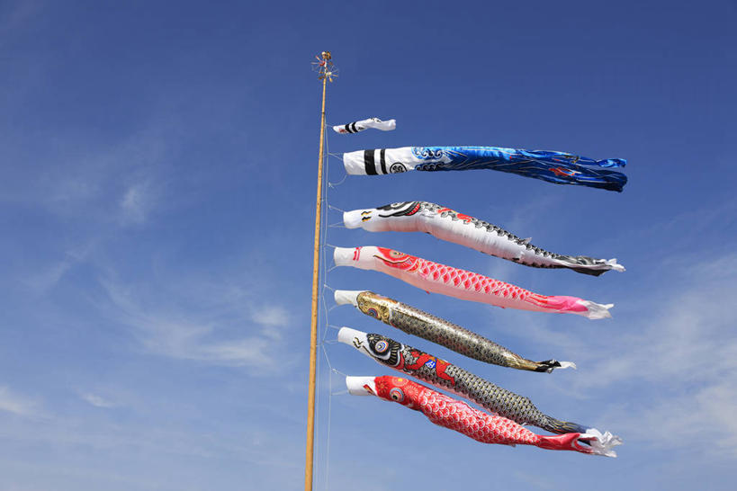 无人,横图,室外,白天,仰视,旗帜,日本,一排,阴影,节日,庆祝,整齐,飘扬,光线,鲤鱼旗,影子,云,云朵,云彩,文化,旗子,排列,蓝色,白云,蓝天,天空,阳光,天,祈福,庆典,晴朗,纪念,飘逸,祈求,队列,飞扬,旌旗,旗号,鲤鱼节,男孩节,日本男孩节,子供之日,鲤帜,晴空,彩图,低角度拍摄