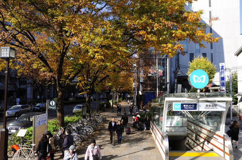 东方人,走,横图,室外,白天,正面,度假,美景,植物,城市风光,城市,车站,东京,日本,亚洲,阴影,服装,光线,影子,景观,地铁站,站台,许多人,休闲装,黄种人,娱乐,月台,树,树木,衣服,绿色,阳光,自然,一群人,享受,休闲,休闲服,景色,放松,服饰,生长,成长,东亚,本州,关东地方,本州岛,日本国,东京都,涩谷区,原宿,表参道,男人,男性,年轻男性,年轻女性,女人,女性,亚洲人,步行,散步,走路,半身,彩图,表参道站