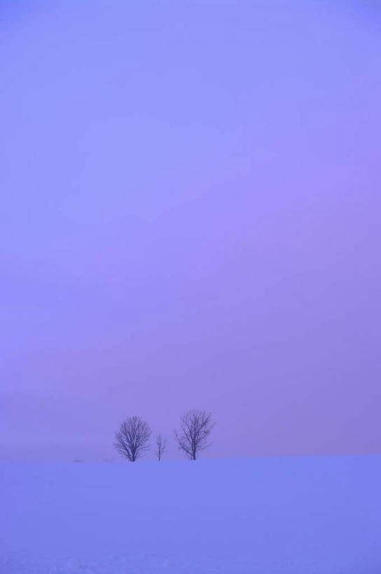 无人,竖图,室外,白天,正面,日出,美景,太阳,雪,植物,大雪,北海道,日本,亚洲,积雪,景观,雪景,冬季,冬天,朝霞,晨曦,黎明,两颗,树,树木,绿色,阳光,自然,景色,寒冷,生长,成长,自然风光,东亚,日本国,北海道地方,北海道岛,严寒,道北,朝阳,彩图,卯时,破晓,日始,上川综合振兴局,振兴局