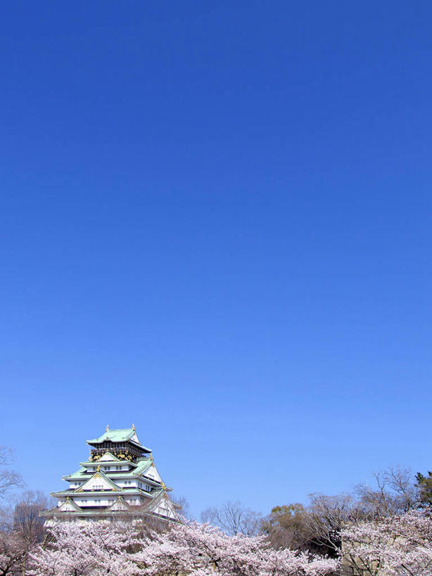 无人,公园,竖图,室外,白天,仰视,旅游,度假,幸福,纯洁,名胜古迹,树林,植物,标志建筑,地标,建筑,樱花,日本,亚洲,阴影,遗迹,盛开,光线,影子,堡垒,城堡,中央区,花蕾,古迹,文物,娱乐,建设,古建筑,花,花瓣,花朵,鲜花,树,树木,蓝色,绿色,蓝天,天空,阳光,自然,天,花苞,花蕊,享受,休闲,旅游胜地,放松,大阪,大阪城公园,生长,晴朗,成长,等待,生命,要塞,古文明,东亚,本州,万里无云,大阪府,本州岛,日本国,近畿地方,大阪城,近畿,仙樱花,福岛樱,青肤樱,高尚,热烈,设防,晴空,晴空万里,荆桃,彩图,低角度拍摄