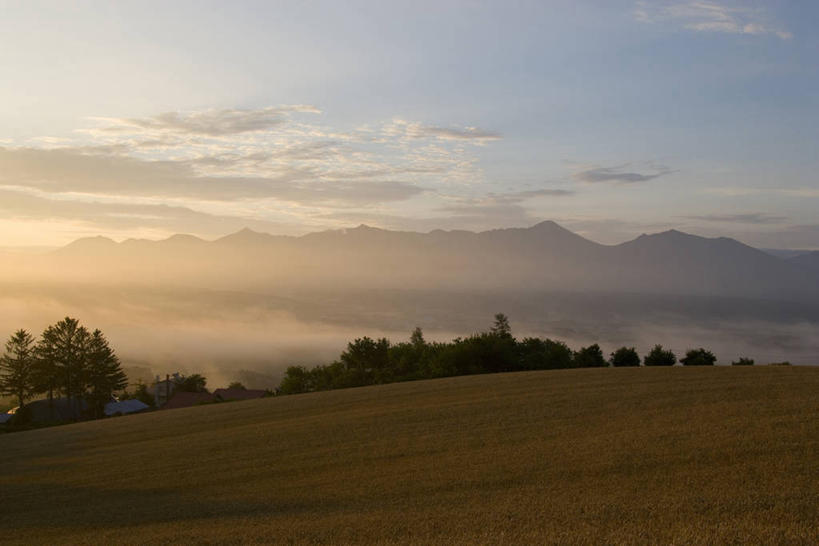 无人,横图,室外,白天,正面,旅游,度假,草地,草坪,日出,美景,山,山脉,太阳,植物,雾,北海道,日本,亚洲,朦胧,模糊,景观,山峰,朝霞,晨曦,黎明,山峦,娱乐,草,树,树木,绿色,阳光,自然,群山,享受,休闲,景色,放松,生长,成长,迷雾,自然风光,东亚,日本国,北海道地方,北海道岛,上富良野町,上富良野,朝阳,大雾,彩图,卯时,破晓,日始