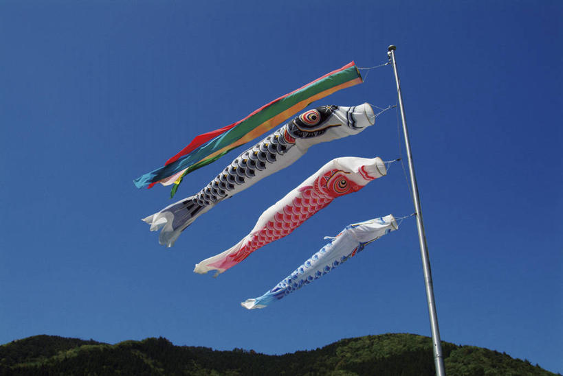 无人,横图,室外,白天,仰视,山,山脉,植物,旗帜,日本,阴影,节日,庆祝,飘扬,光线,鲤鱼旗,影子,山峰,山峦,文化,旗子,树,树木,蓝色,绿色,蓝天,天空,阳光,自然,群山,天,祈福,庆典,生长,晴朗,成长,纪念,飘逸,祈求,飞扬,万里无云,旌旗,旗号,鲤鱼节,男孩节,日本男孩节,子供之日,鲤帜,晴空,晴空万里,彩图,低角度拍摄