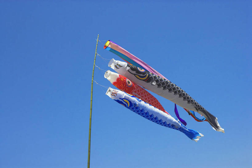 无人,横图,室外,特写,白天,仰视,静物,旗帜,日本,阴影,节日,庆祝,飘扬,光线,鲤鱼旗,影子,文化,旗子,蓝色,蓝天,天空,阳光,天,祈福,庆典,晴朗,纪念,飘逸,祈求,飞扬,万里无云,旌旗,旗号,鲤鱼节,男孩节,日本男孩节,子供之日,鲤帜,晴空,晴空万里,彩图,低角度拍摄