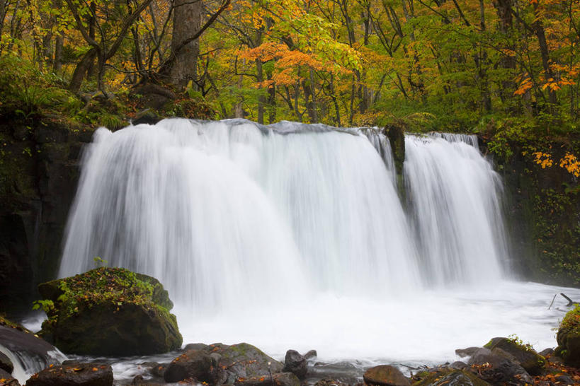 无人,横图,室外,白天,正面,旅游,度假,石头,美景,瀑布,森林,树林,水,植物,日本,亚洲,阴影,飞溅,溅,光线,石子,液体,影子,景观,水滴,娱乐,水珠,树,树木,绿色,阳光,自然,享受,休闲,景色,放松,生长,成长,喷洒,自然风光,东亚,本州,本州岛,日本国,青森,青森县,东北地方,奥入濑溪谷,十和田市,十和田,跌水,石块,岩石,彩图