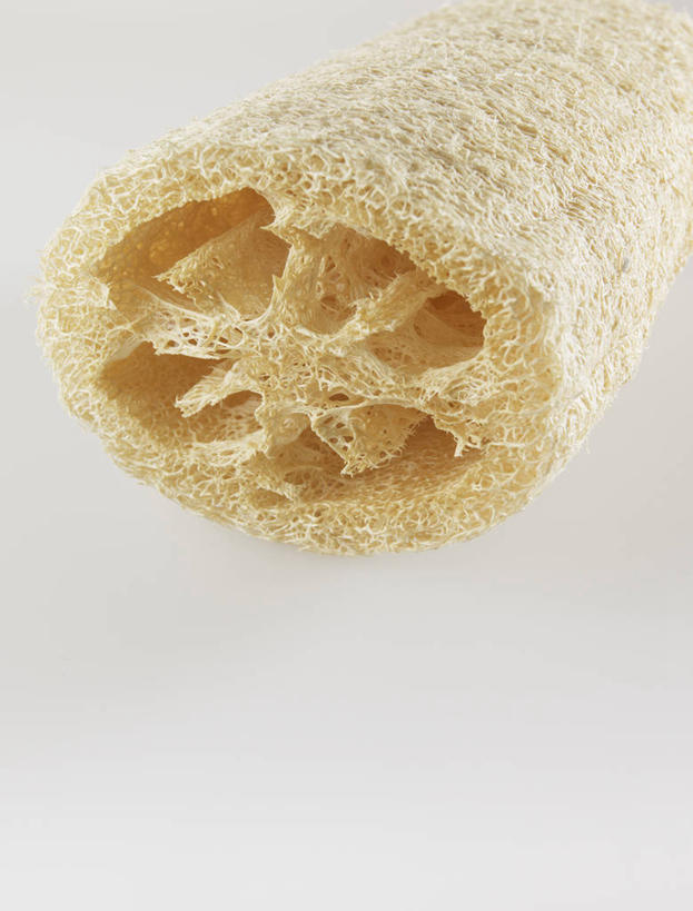 无人,竖图,俯视,室内,特写,白天,白色背景,静物,阴影,反射,海绵,影子,洞,干净,黄色,清洁,享受,健康,放松,摄影,洞穴,影棚,卫生,穴,彩图,高角度拍摄,影棚拍摄,拍摄,浴用海绵