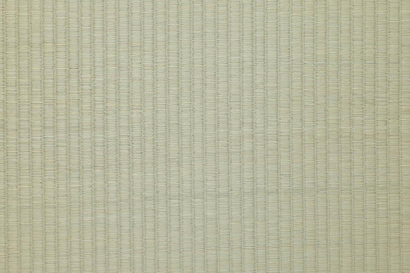 无人,横图,俯视,室内,特写,白天,静物,新鲜,纹路,纹理,席子,塌塌米,榻榻米,绿色,青春,草席,生命,和平,安详,肌理,冷色,叠席,彩图,高角度拍摄