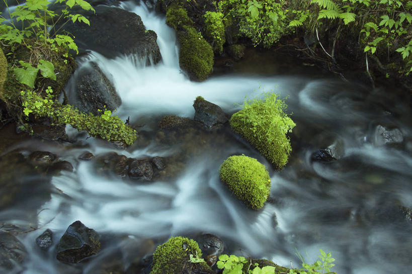 无人,横图,俯视,室外,特写,白天,河流,石头,美景,水,日本,亚洲,阴影,光线,石子,影子,河水,景观,水流,青苔,苔藓,阳光,自然,景色,自然风光,东亚,本州,本州岛,日本国,东北地方,福岛,福岛县,石块,岩石,彩图,高角度拍摄,北盐原村,耶麻郡