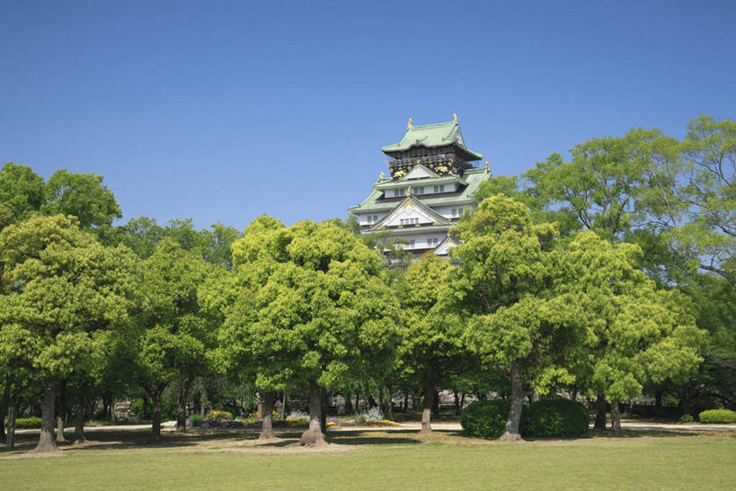 无人,公园,横图,室外,白天,正面,旅游,度假,草地,草坪,名胜古迹,植物,标志建筑,地标,建筑,日本,亚洲,阴影,遗迹,光线,影子,堡垒,城堡,中央区,古迹,文物,娱乐,建设,古建筑,草,树,树木,蓝色,绿色,蓝天,天空,阳光,自然,天,享受,休闲,旅游胜地,放松,大阪,大阪城公园,生长,晴朗,成长,要塞,古文明,东亚,本州,万里无云,大阪府,本州岛,日本国,近畿地方,大阪城,近畿,设防,晴空,晴空万里,彩图