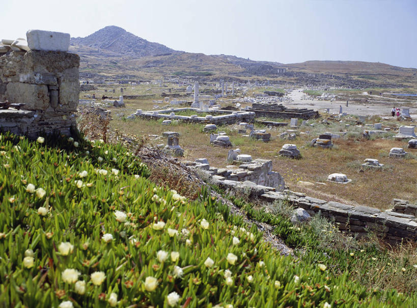 无人,横图,室外,白天,正面,旅游,度假,草地,草坪,花海,花圃,名胜古迹,山,山脉,植物,标志建筑,地标,建筑,叶子,希腊,欧洲,阴影,遗迹,盛开,光线,影子,山峰,山峦,花蕾,古迹,文物,娱乐,建设,古建筑,废墟,草,花,花瓣,花朵,花卉,鲜花,蓝色,绿色,蓝天,天空,阳光,花丛,花束,花田,群山,天,花苞,花蕊,享受,休闲,旅游胜地,放松,晴朗,基克拉迪群岛,古文明,希腊共和国,万里无云,基克拉泽斯群岛,提洛岛,晴空,晴空万里,彩图