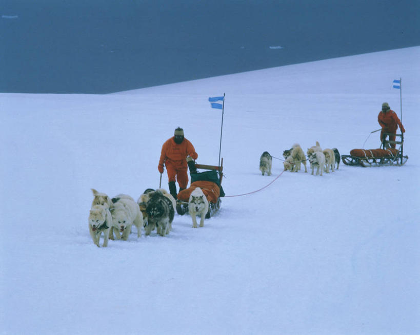 西方人,两个人,站,横图,室外,白天,正面,旅游,度假,南极,美景,雪,大雪,宠物,狗,旗帜,欧洲,欧洲人,阴影,服装,光线,影子,积雪,景观,雪景,云,云朵,冬季,冬天,云彩,娱乐,旗子,车,衣服,蓝色,白云,蓝天,天空,阳光,自然,动物,交通工具,天,站着,享受,休闲,温暖,景色,放松,寒冷,可爱,哈士奇,哈士奇犬,服饰,晴朗,羽绒服,保暖,雪橇,御寒,自然风光,载具,西伯利亚雪橇犬,雪橇犬,南极洲,雪橇车,忠诚,严寒,旌旗,旗号,哈士奇狗,西伯利亚哈士奇,南极大陆,南极地区,南极区,南极圈,冬装,男人,男性,中年男性,白种人,第七大陆,晴空,犬,站立,彩图,全身,安塔克提加州
