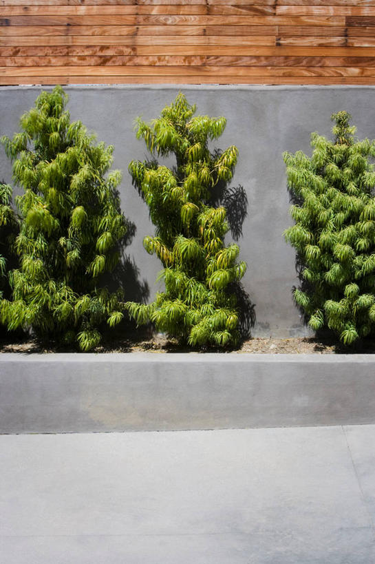 无人,竖图,室外,白天,正面,建材,植物,道路,建筑,路,三棵,一排,阴影,整齐,光线,材料,盆栽,影子,砖,砖块,墙,小路,盆景,交通,墙壁,墙面,排列,绿色,阳光,自然,砖头,建造,生长,成长,队列,石料,彩图,砌墙砖