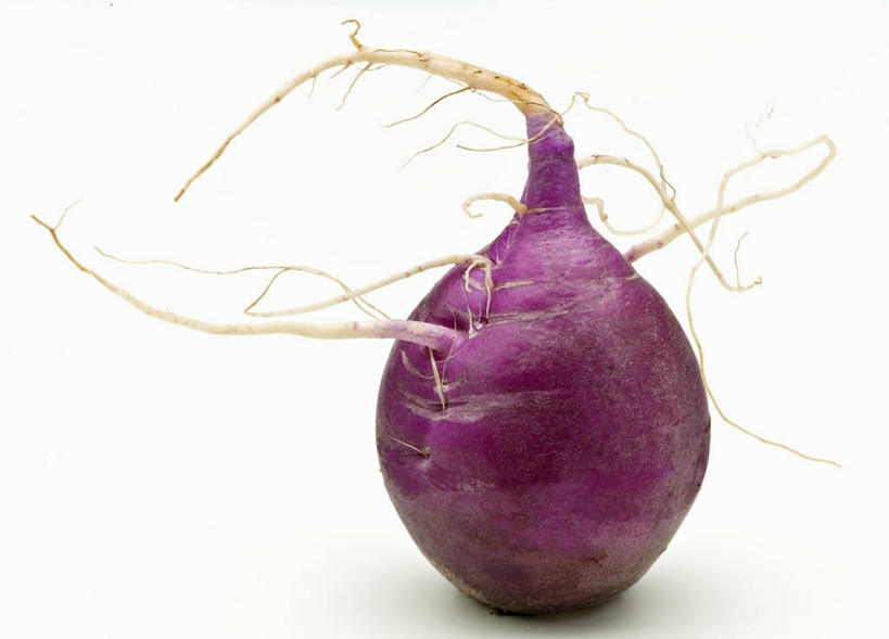 无人,横图,室内,特写,白天,白色背景,正面,餐桌,桌子,萝卜,蔬菜,阴影,新鲜,反射,影子,食品,食物,一个,紫色,摄影,有机食品,绿色食品,影棚,水萝卜,单个,餐台,彩图,影棚拍摄,拍摄