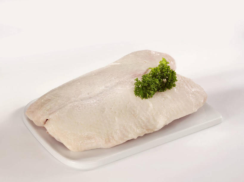 无人,横图,俯视,室内,特写,白天,白色背景,餐桌,桌子,叶子,一块,阴影,装饰,反射,影子,肉,绿叶,案板,鸭肉,肉类,砧板,嫩叶,摄影,影棚,餐台,华丽,修饰,点缀,配菜,肉食,衬托,美观,雅致,雅观,叶,叶片,彩图,高角度拍摄,影棚拍摄,拍摄