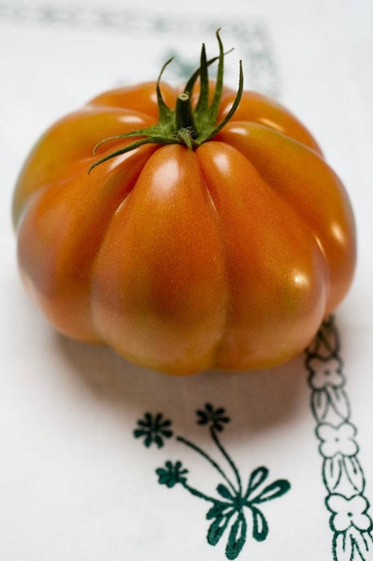 无人,竖图,俯视,室内,特写,白天,餐桌,桌子,蔬菜,西红柿,阴影,新鲜,反射,影子,食品,食物,一个,红色,有机食品,绿色食品,单个,餐台,番茄,彩图,高角度拍摄