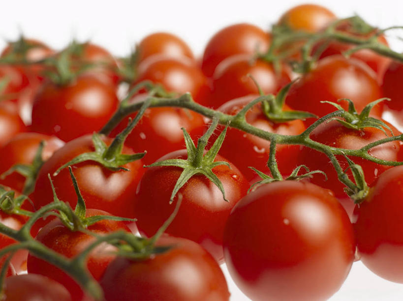 无人,横图,俯视,室内,特写,白天,白色背景,餐桌,桌子,蔬菜,西红柿,小番茄,许多,阴影,朦胧,模糊,新鲜,反射,影子,食品,很多,食物,红色,摄影,有机食品,绿色食品,影棚,餐台,小西红柿,樱桃小番茄,珍珠小番茄,樱桃番茄,圣女果,番茄,彩图,高角度拍摄,影棚拍摄,拍摄