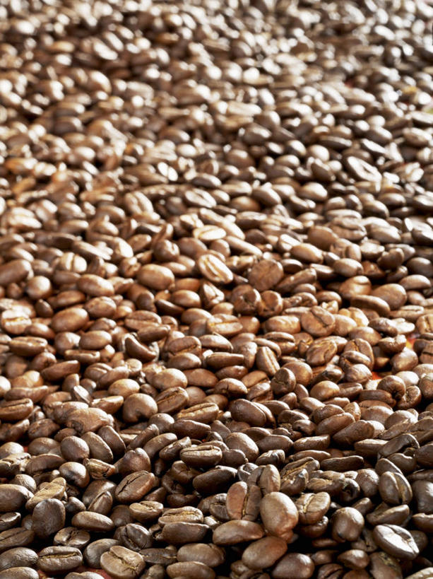 咖啡,无人,竖图,俯视,室内,特写,白天,植物,餐桌,桌子,豆,一堆,许多,阴影,堆叠,堆积,反射,影子,豆类,豆子,褐色,很多,咖啡豆,餐台,堆,豆科,咖啡因,彩图,高角度拍摄