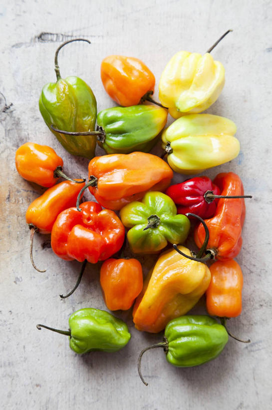 无人,竖图,俯视,室内,特写,白天,餐桌,桌子,辣椒,蔬菜,许多,阴影,新鲜,反射,影子,食品,很多,食物,黄色,红色,绿色,橙色,有机食品,绿色食品,餐台,彩椒,辣角,红海椒,大椒,辣虎,广椒,甜椒,柿子椒,辣子,海椒,番椒,灯笼椒,彩图,高角度拍摄